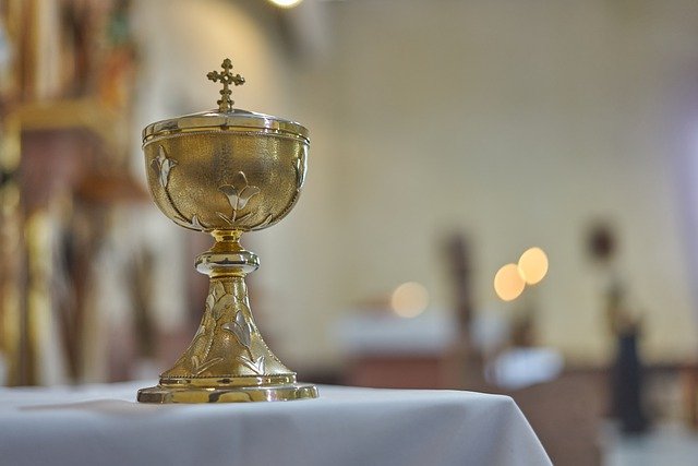 Ustanowienie trzynastu nowych szafarzy Komunii św. w diecezji płockiej 