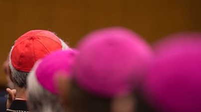 Stanowisko  Rady Stałej Konferencji Episkopatu Polski wobec działań Jana Pawła II odnoszących się do przestępstw seksualnych wobec małoletnich