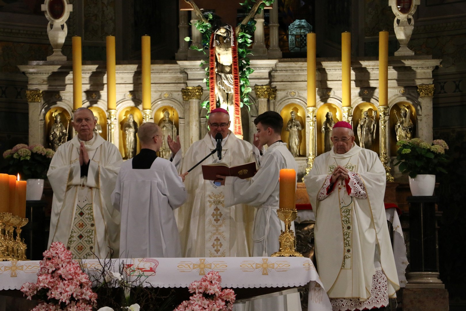 Mszazafranciszka